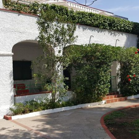 Villa Feli 3 Benicàssim Exteriör bild