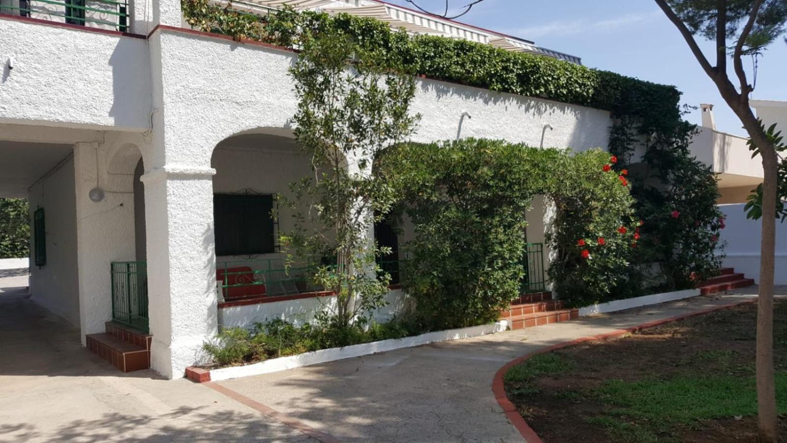 Villa Feli 3 Benicàssim Exteriör bild